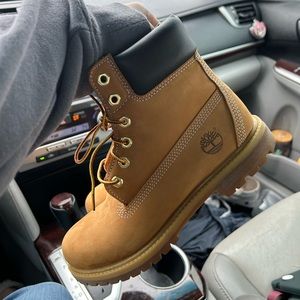 Timberland premium 6 inch boots